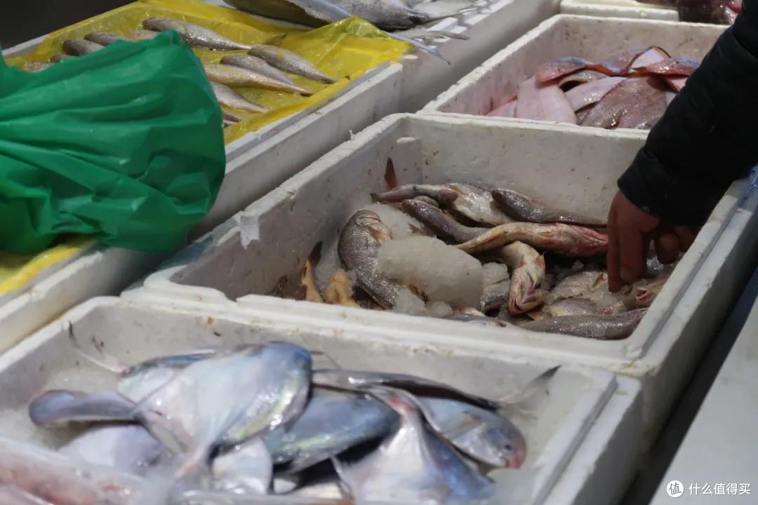 在这个足足2万平的奇妙海鲜“商场”,我找到了赚钱的动力