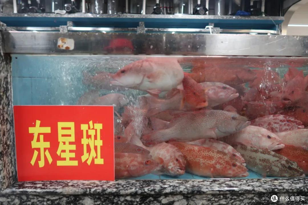 在这个足足2万平的奇妙海鲜“商场”,我找到了赚钱的动力
