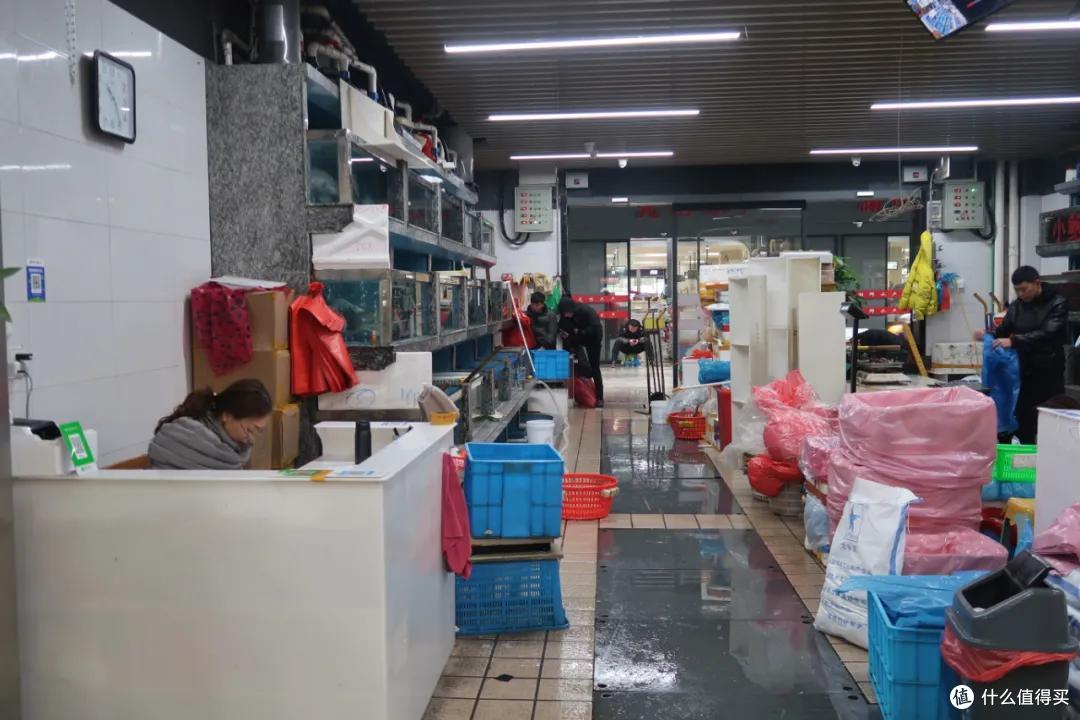 在这个足足2万平的奇妙海鲜“商场”,我找到了赚钱的动力