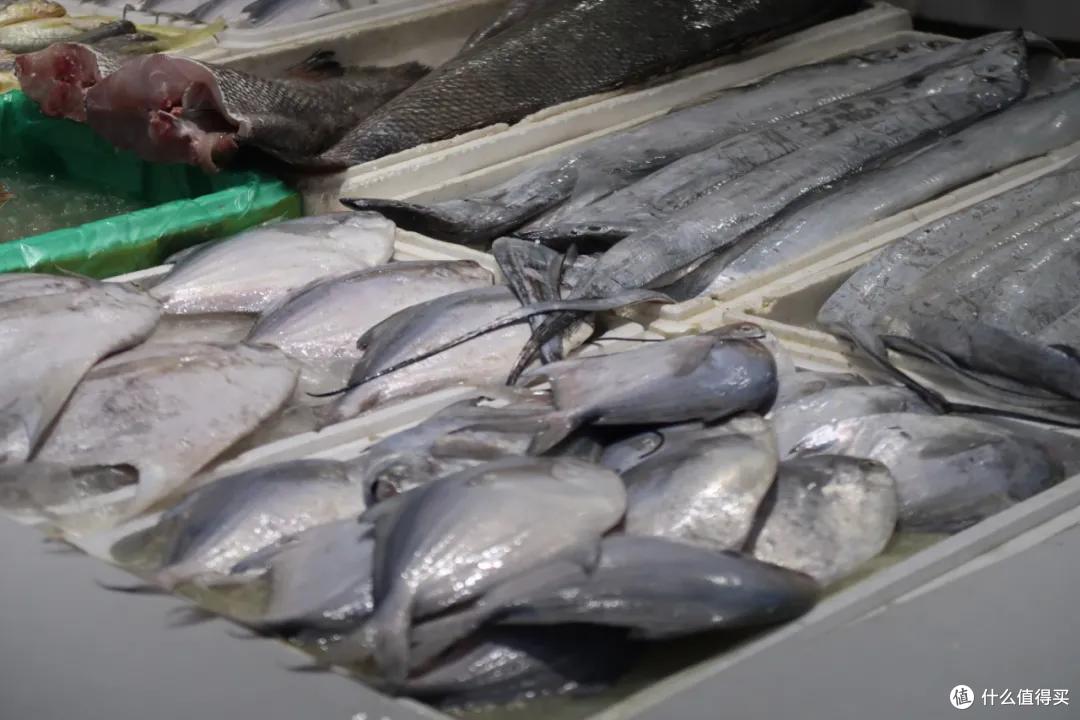 在这个足足2万平的奇妙海鲜“商场”,我找到了赚钱的动力