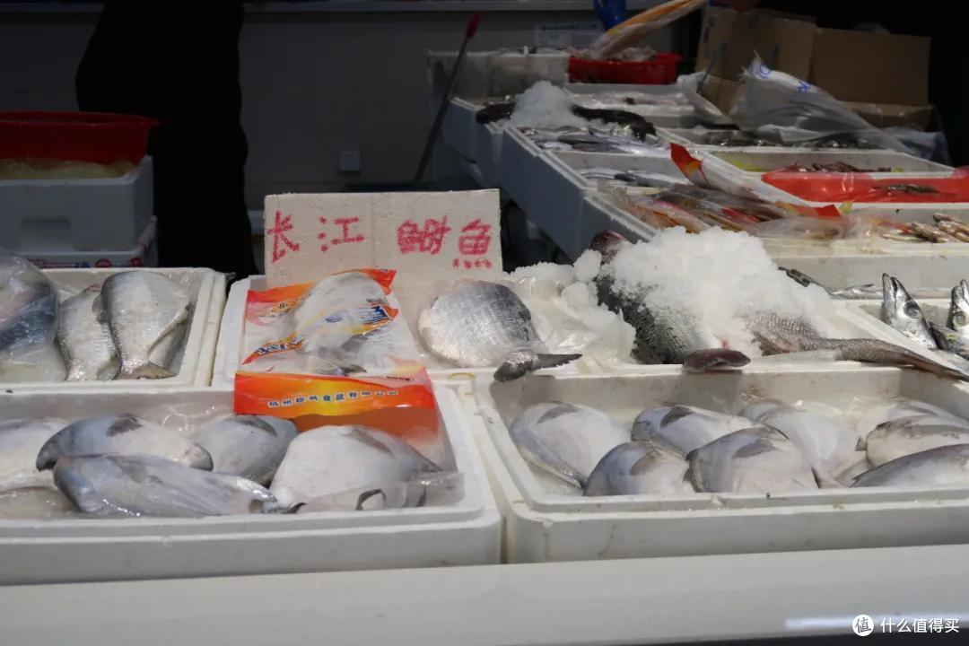 在这个足足2万平的奇妙海鲜“商场”,我找到了赚钱的动力