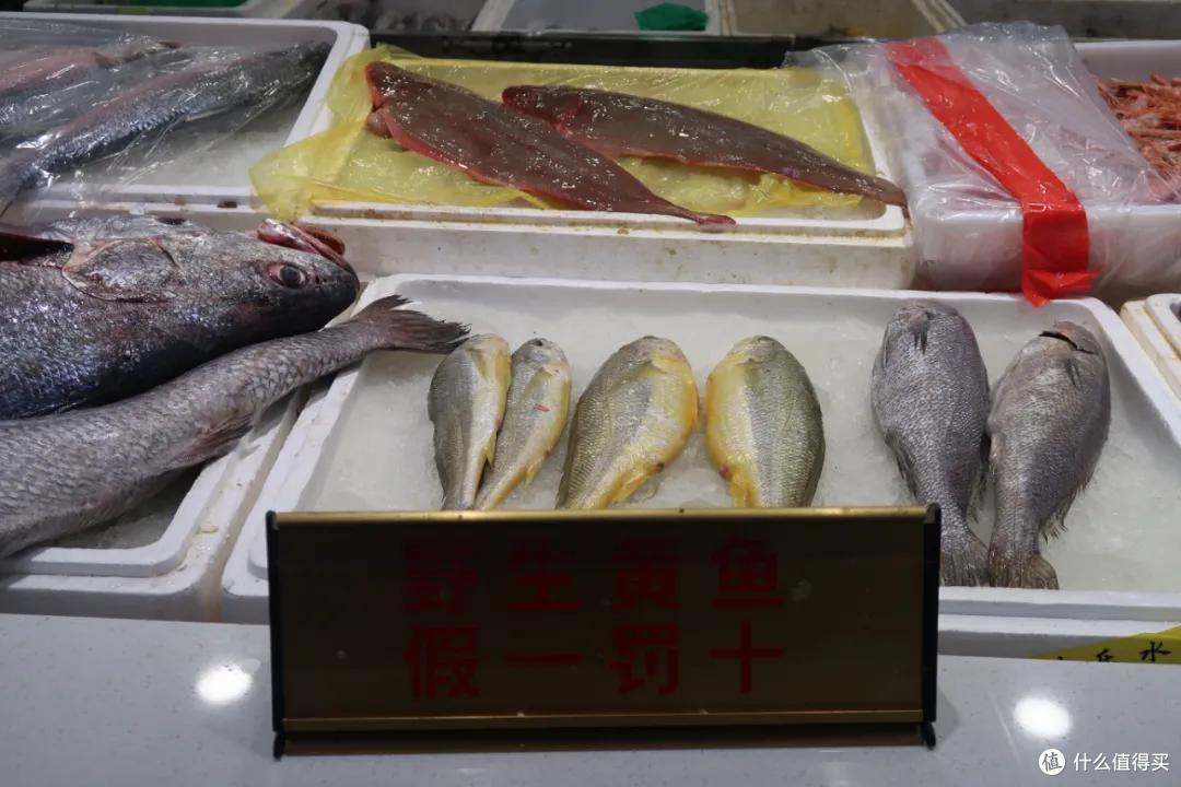 在这个足足2万平的奇妙海鲜“商场”,我找到了赚钱的动力