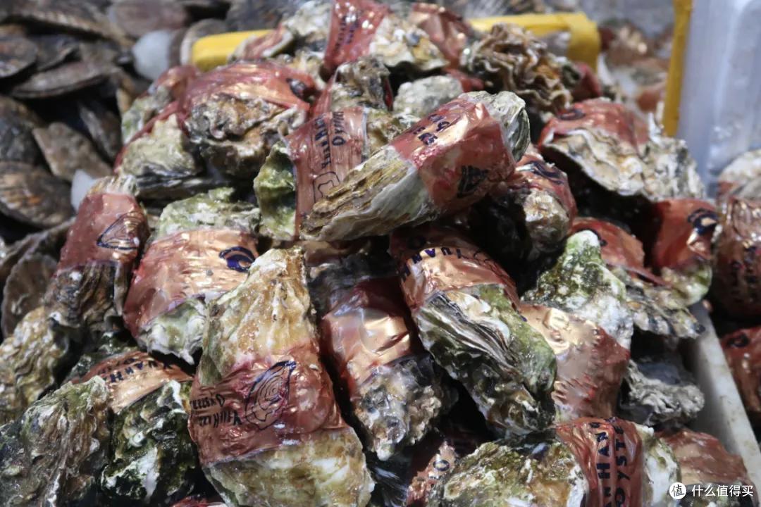 在这个足足2万平的奇妙海鲜“商场”,我找到了赚钱的动力