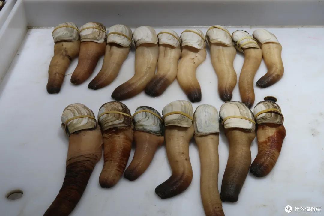在这个足足2万平的奇妙海鲜“商场”,我找到了赚钱的动力