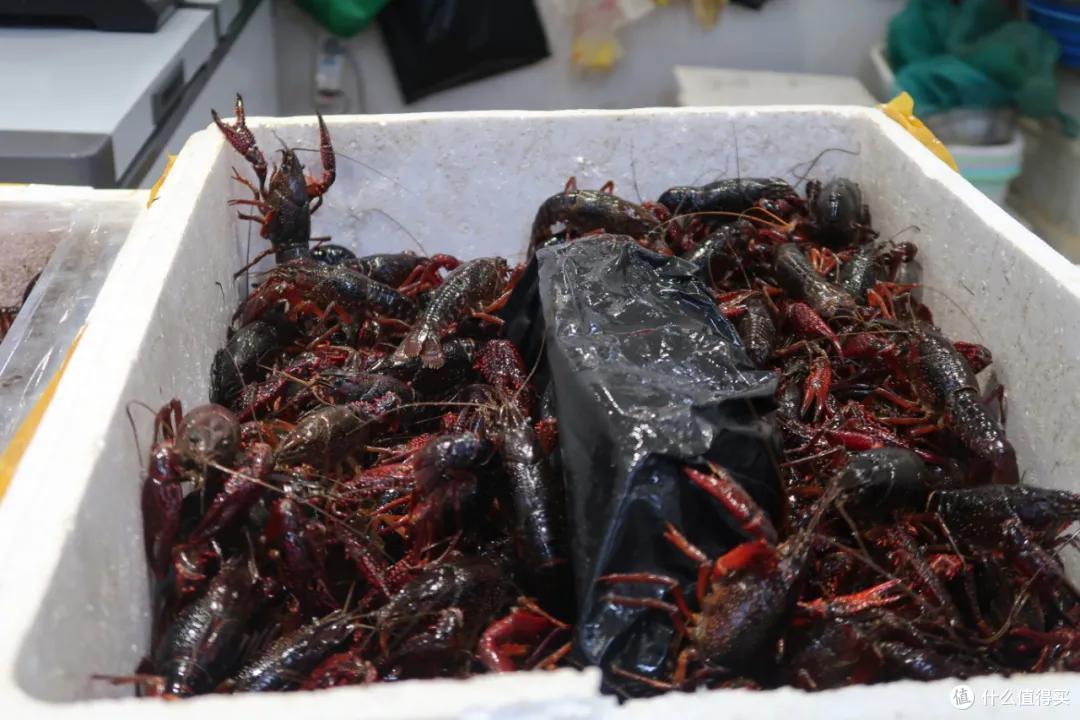 在这个足足2万平的奇妙海鲜“商场”,我找到了赚钱的动力