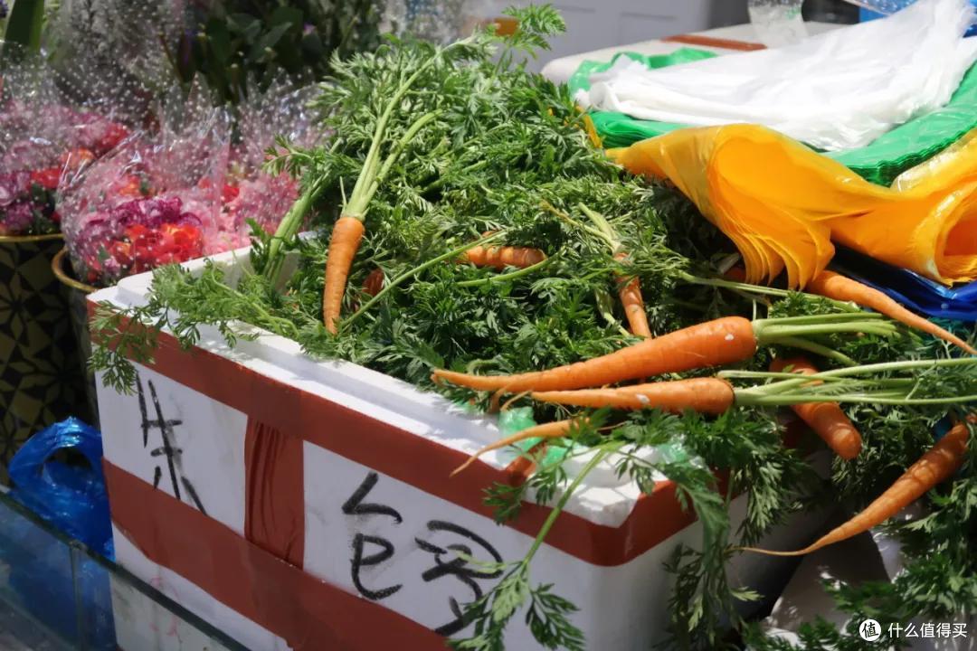 在这个足足2万平的奇妙海鲜“商场”,我找到了赚钱的动力