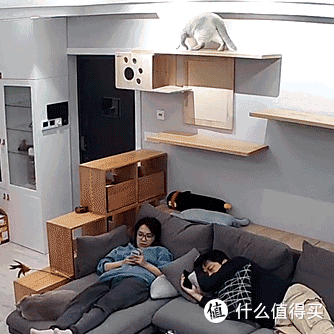 打造人宠共乐的家—“铲S官”的装修手记