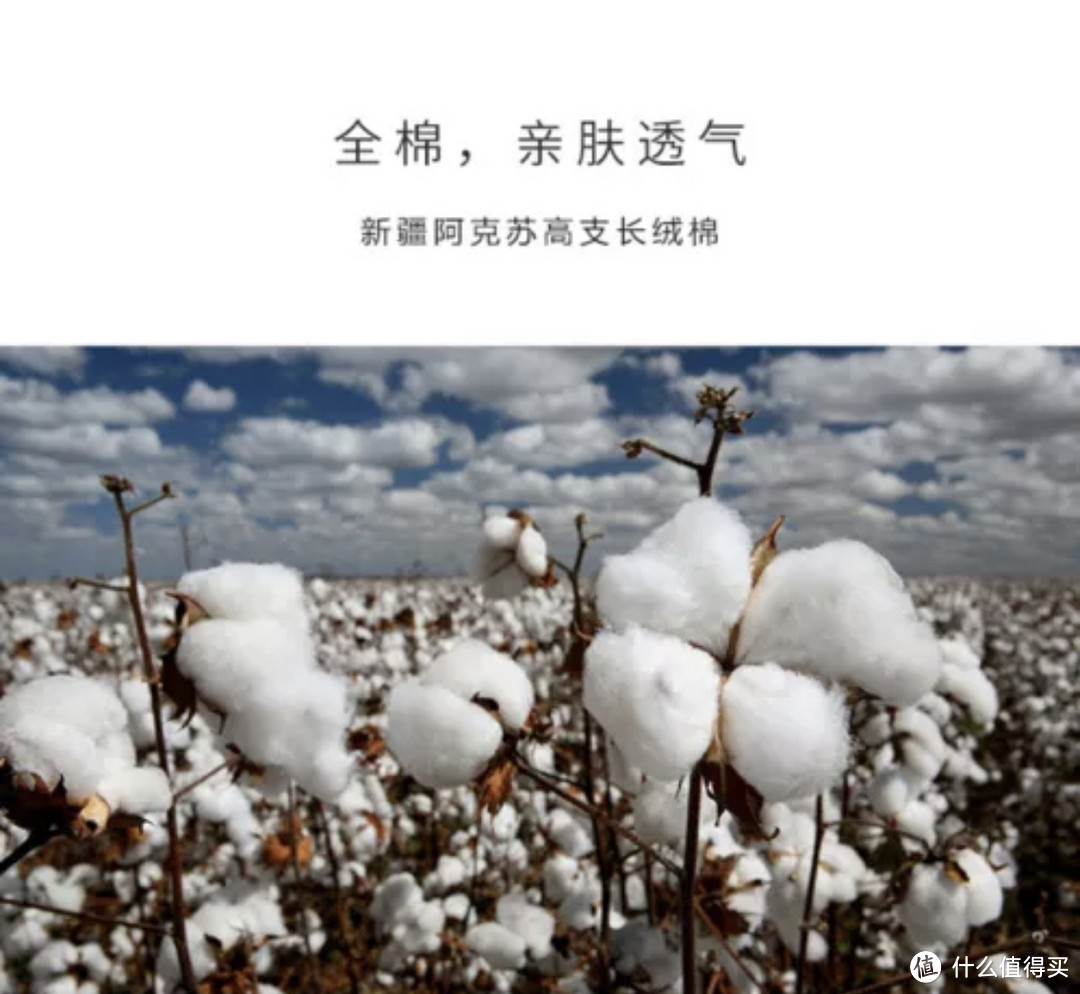 衬衫面料常用的几种材质,新疆长绒棉,柔软透气质感高级!