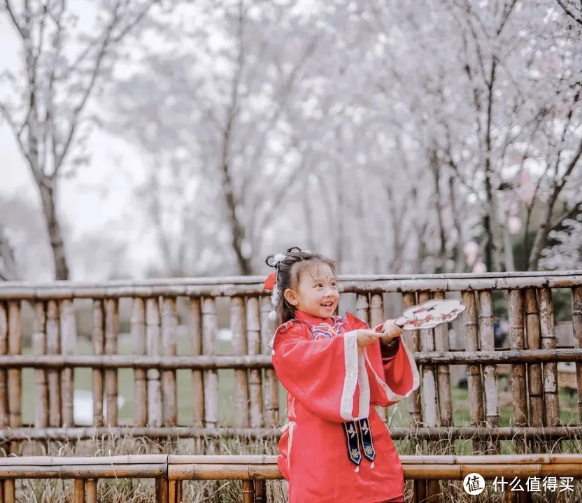 今年无锡看樱花，不去鼋头渚了！