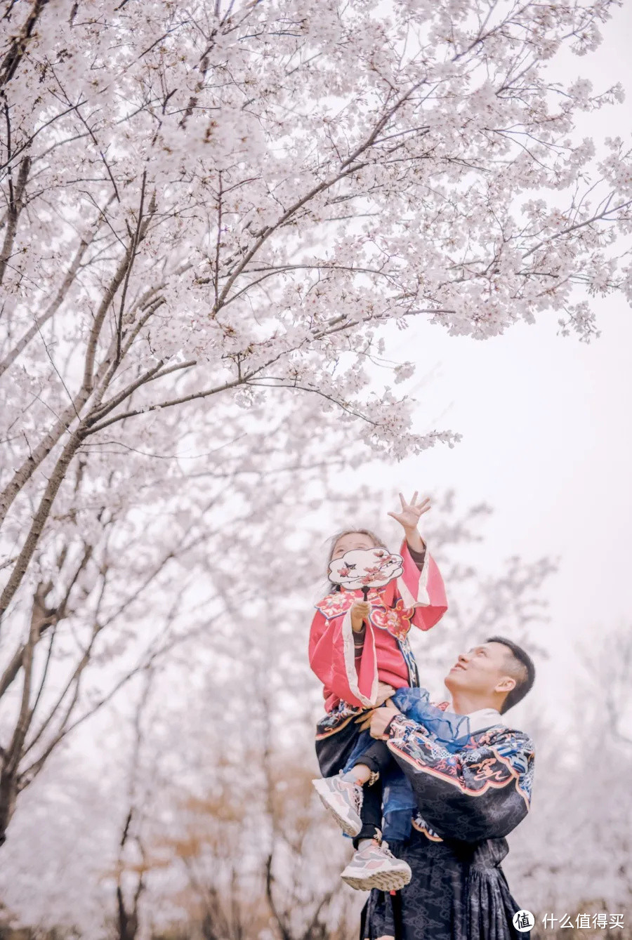 今年无锡看樱花，不去鼋头渚了！