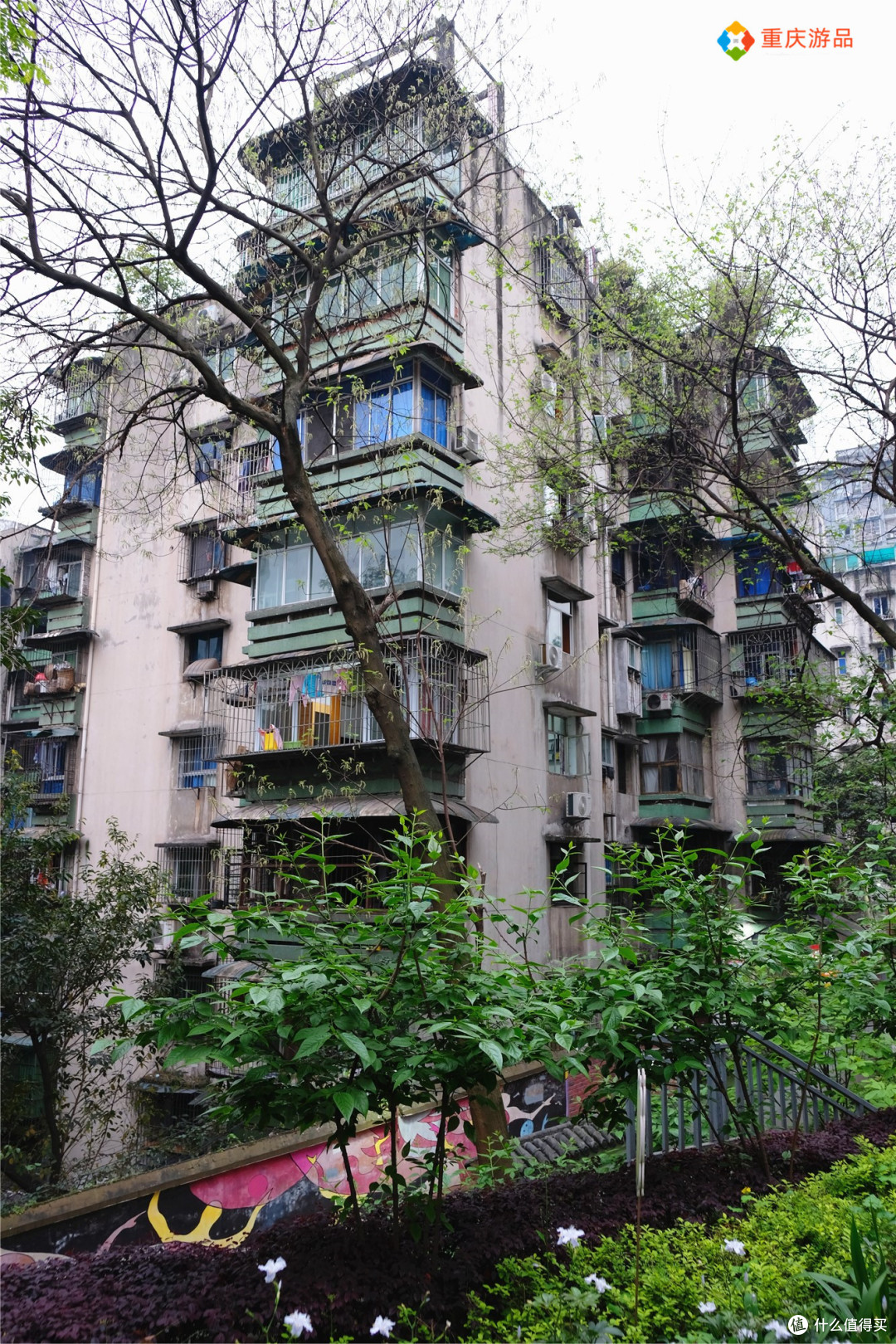 魅力渝中重庆老社区的新生枣子岚垭可不仅仅是名字好听