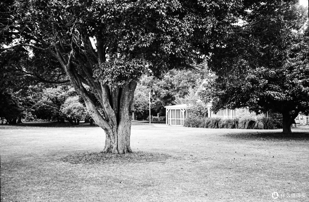 Ricoh AF-35