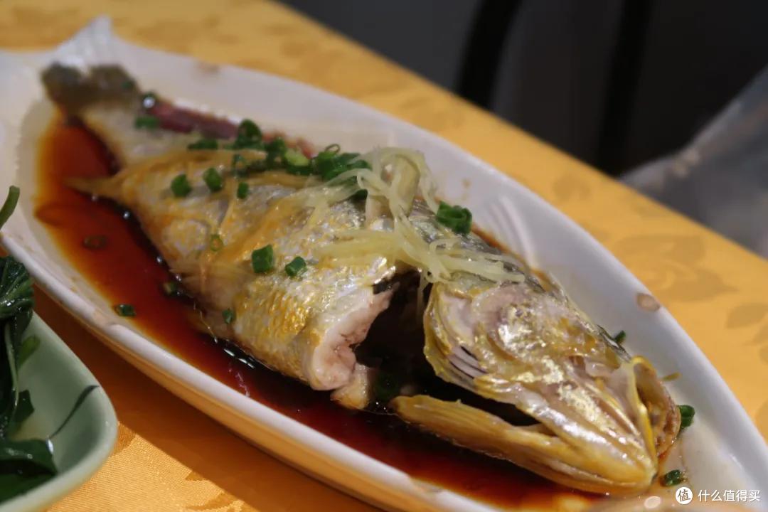 深圳48小时：哼，这里才不是美食荒漠呢！