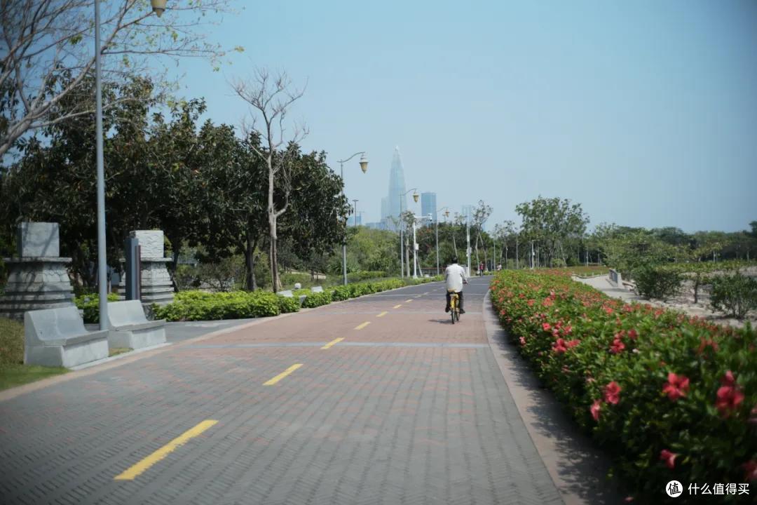 深圳48小时：哼，这里才不是美食荒漠呢！