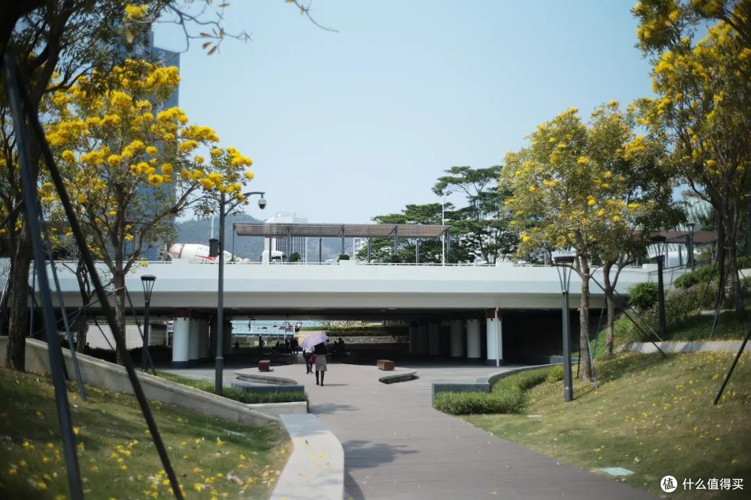 深圳48小时：哼，这里才不是美食荒漠呢！