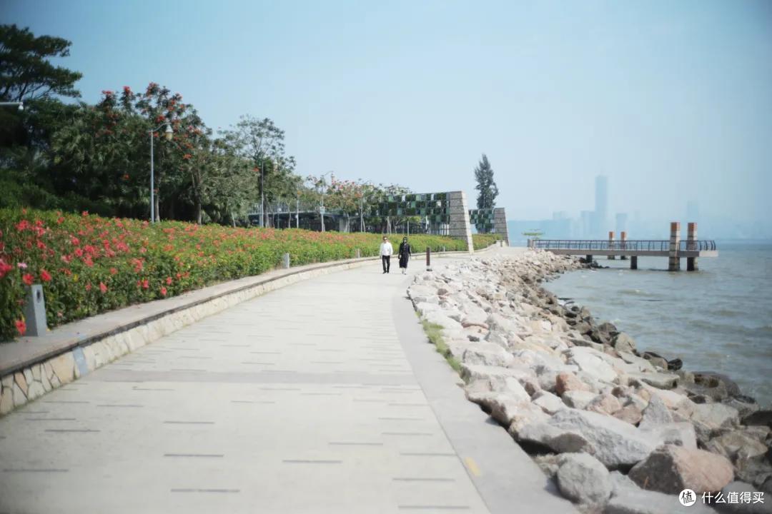深圳48小时：哼，这里才不是美食荒漠呢！