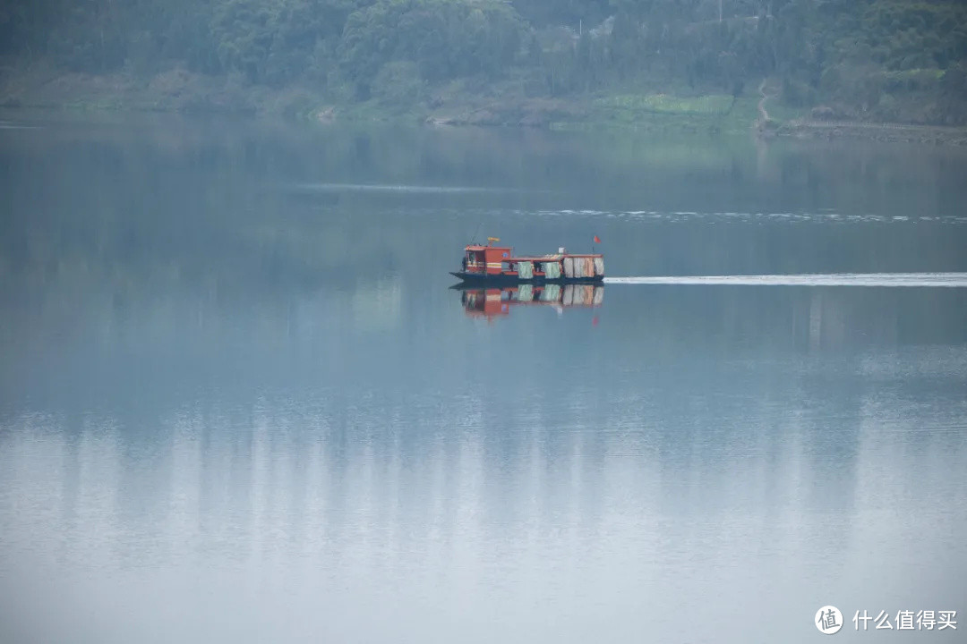 松下全画幅的轻便型远摄变焦 70-300mm 春天拍花体验