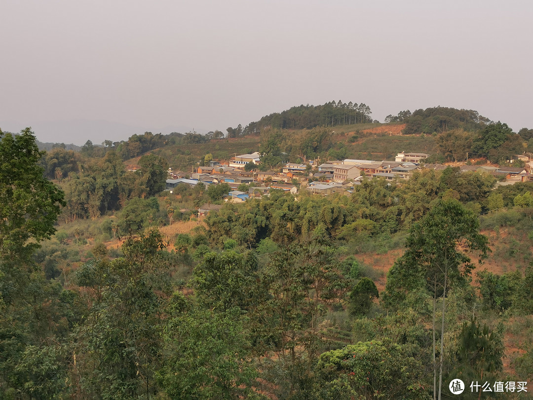 远眺苦竹山村，围绕房前屋后的便是苦竹山的核心区古茶园