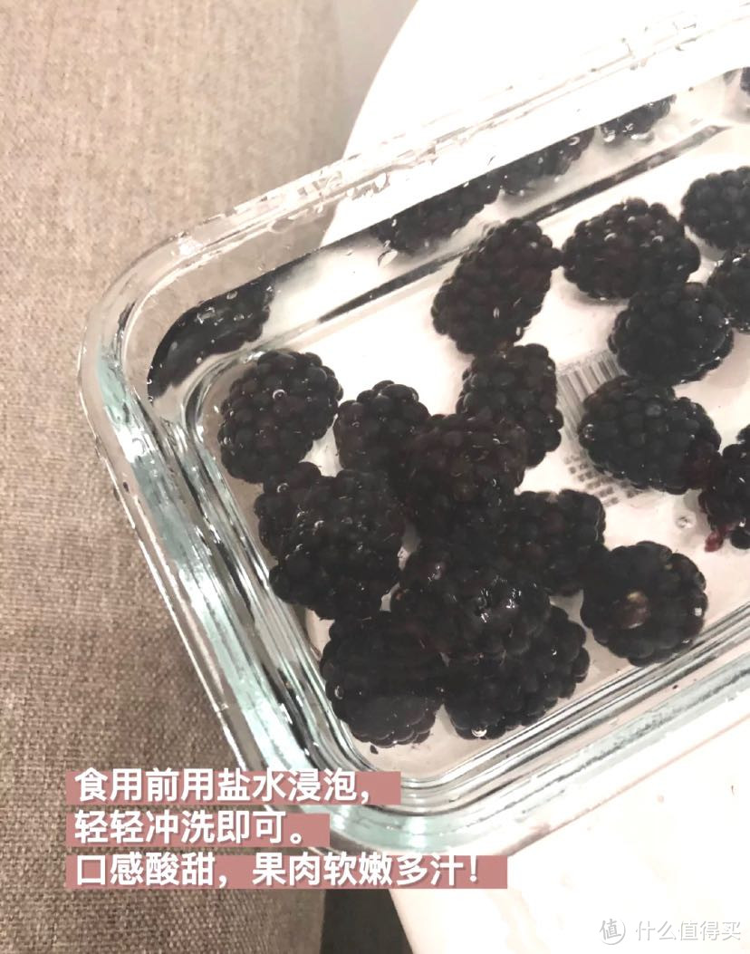 黑莓｜一种被低估的小众水果超值推荐！