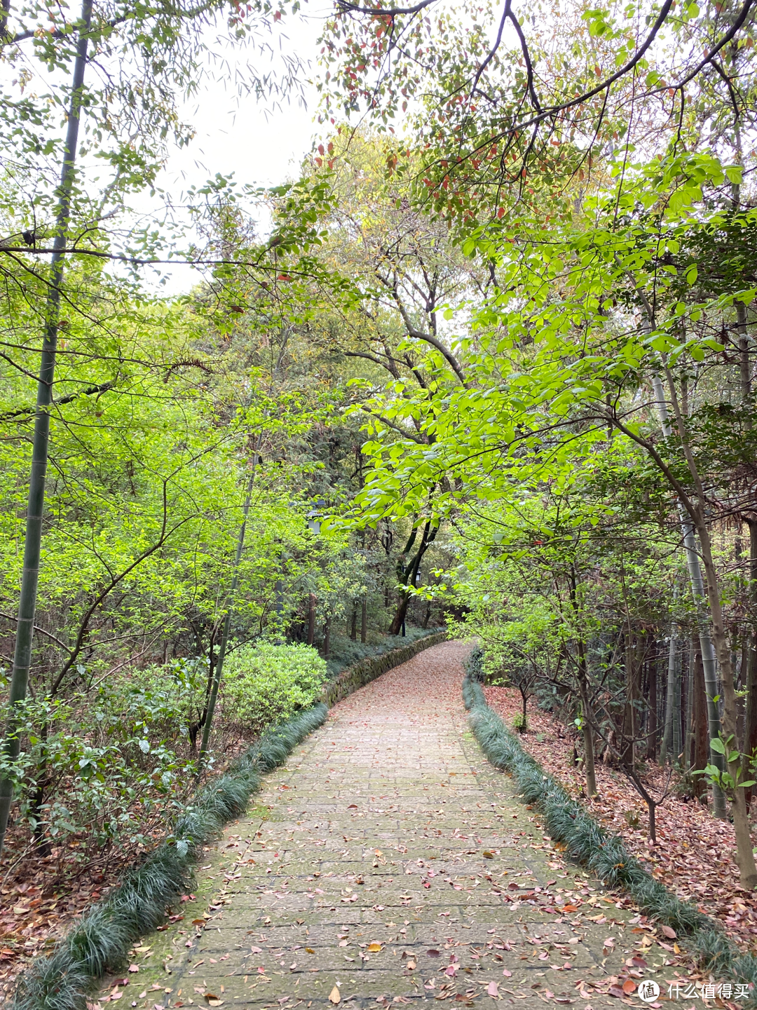 杭州旅游：半山国家森林公园清明踏青