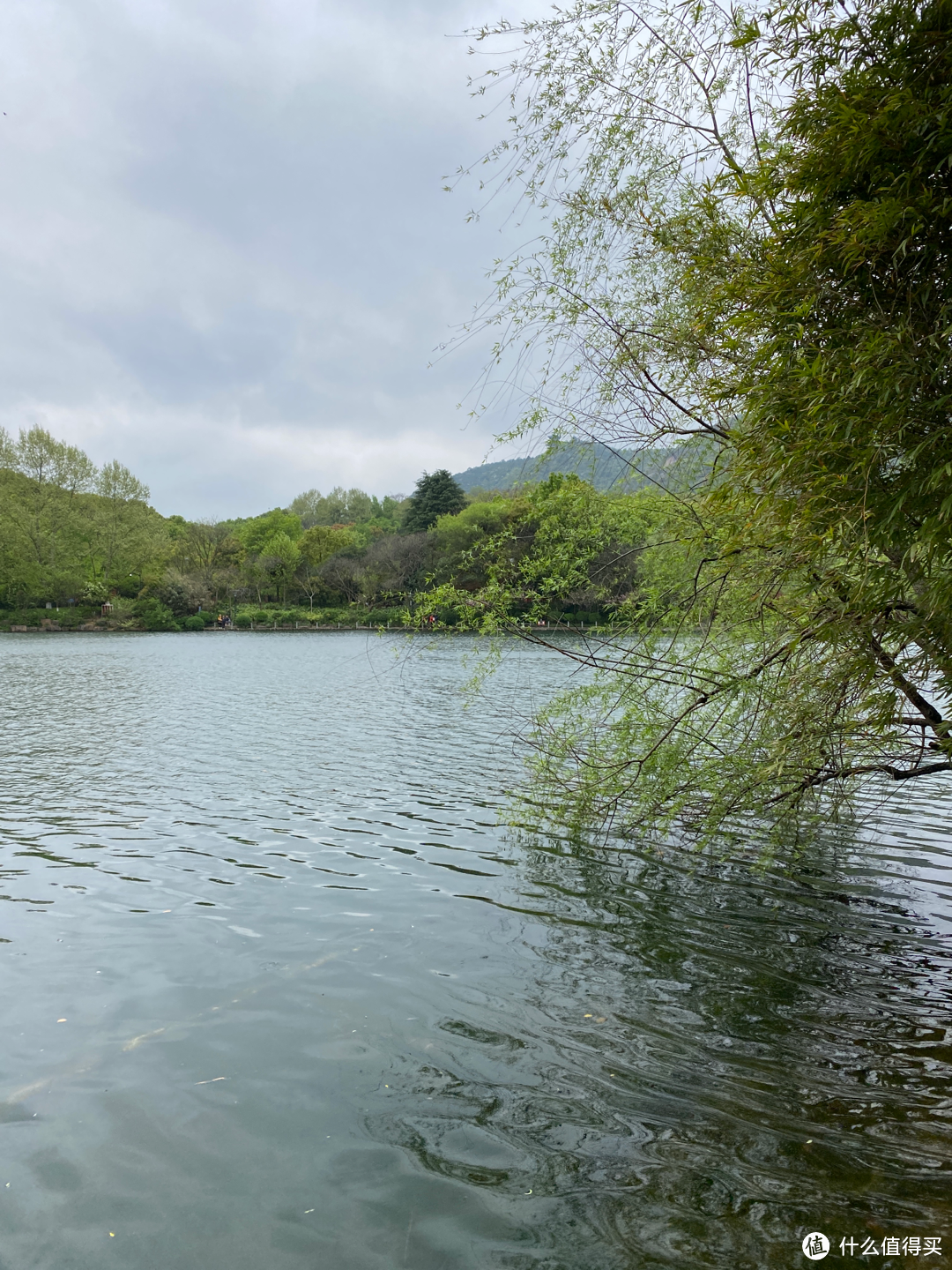 杭州旅游：半山国家森林公园清明踏青