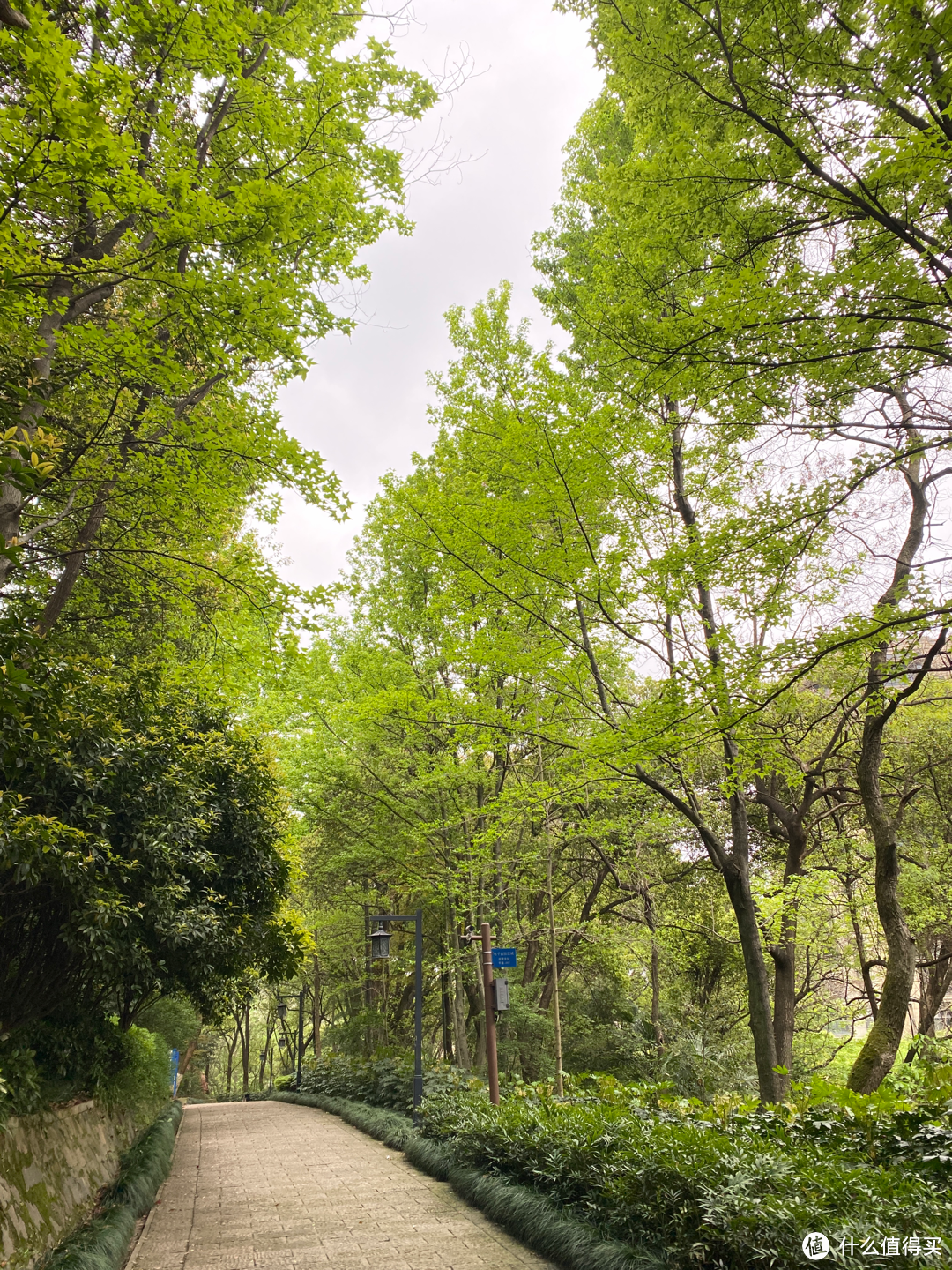 杭州旅游：半山国家森林公园清明踏青