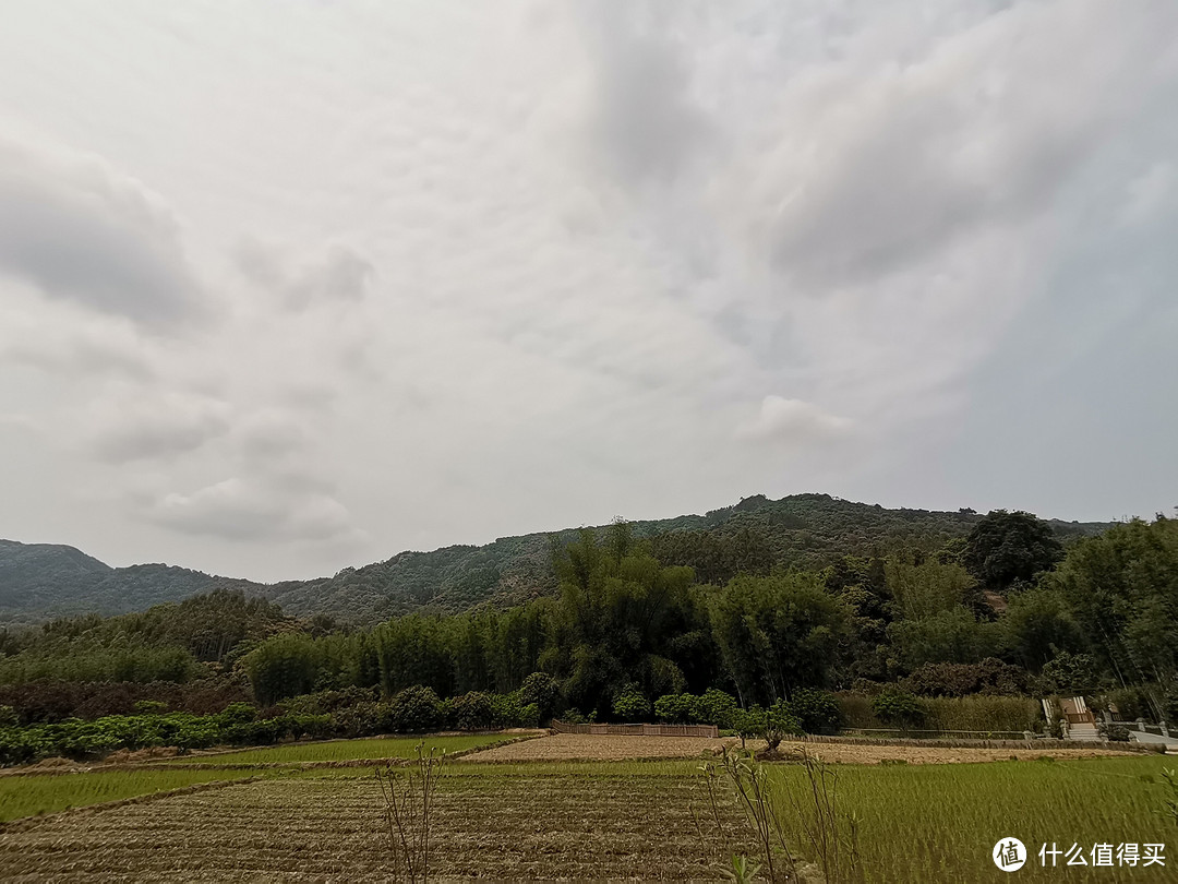 绿水青山，其实真的是金山银山，只是这么简单的事情，好像对城市人来说，也不是件容易的事情。