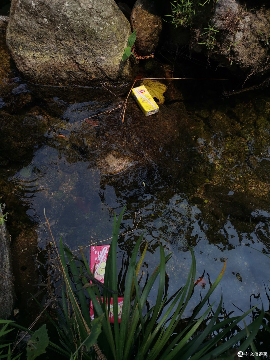 泡在泉水中的饮料,烈日下清凉的饮料,也是舒心