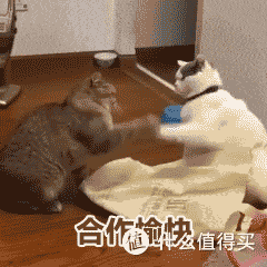 二宝爸压箱底的X宝搜货锦囊，吐血分享给你们，理工男的最强大脑，就是这么牛~