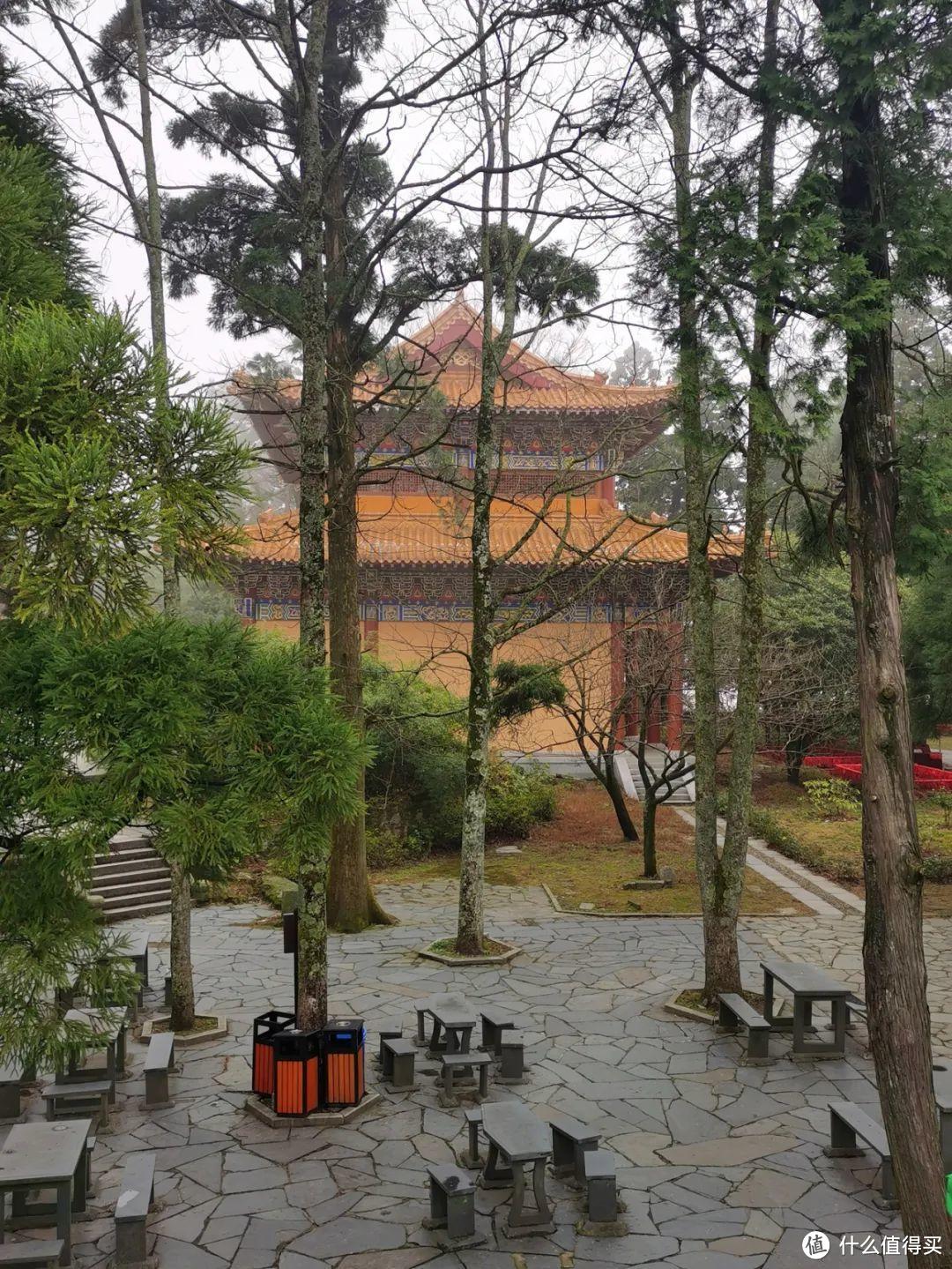 不识庐山真面目，只缘身在雾海中，庐山两日游