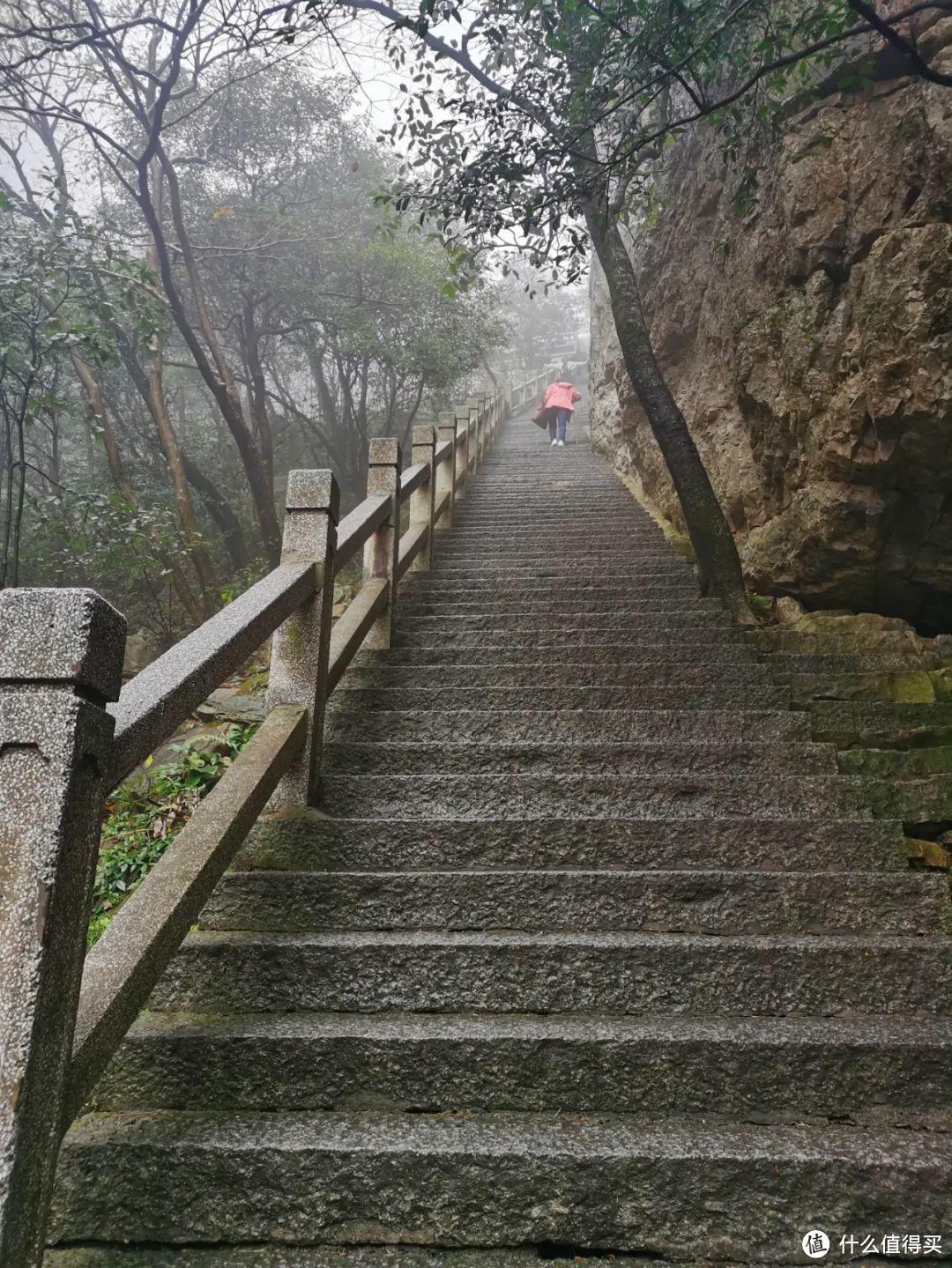 不识庐山真面目，只缘身在雾海中，庐山两日游