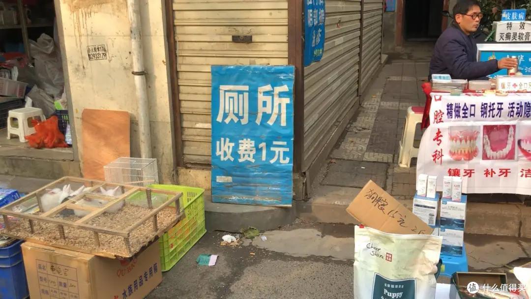 从花鸟到春药…西安集市路子野，我喜欢！| 西安5
