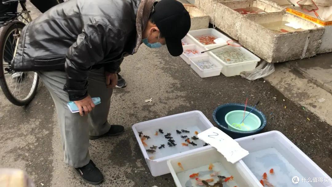 从花鸟到春药…西安集市路子野，我喜欢！| 西安5