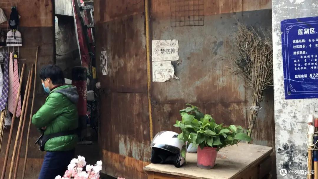 从花鸟到春药…西安集市路子野，我喜欢！| 西安5