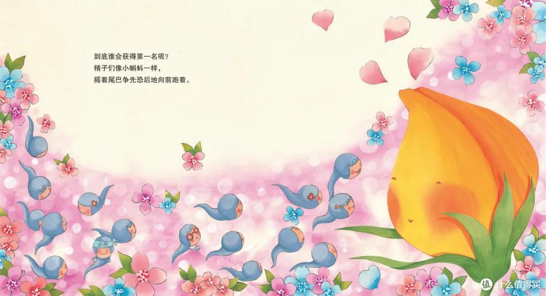 飞翔的小鸡——性教育和安全