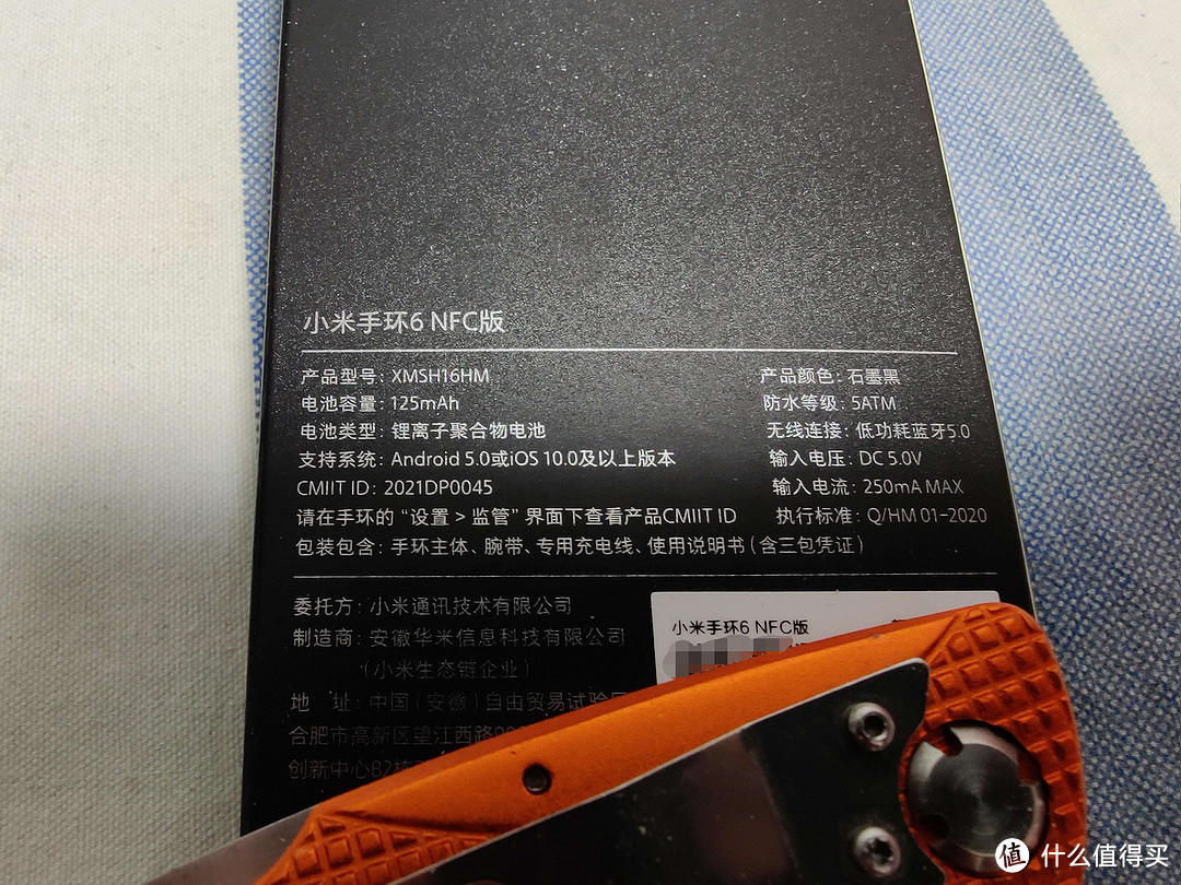 背面照,