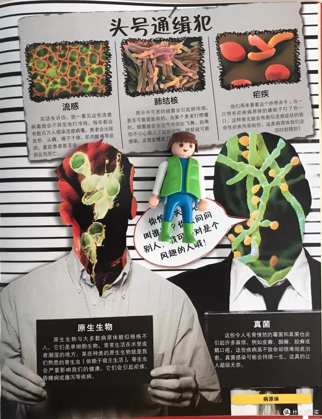 无论她们怎么吹，这两款桌游你都要绕坑丨团购纪检委