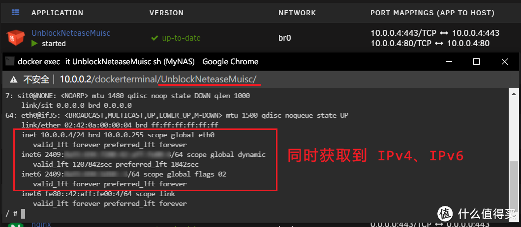 移动大内网如何愉快玩耍Transmission——Unraid容器IPv6实战指南