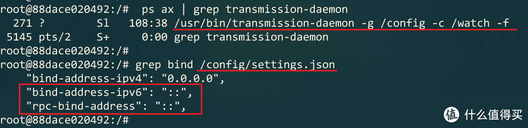 移动大内网如何愉快玩耍Transmission——Unraid容器IPv6实战指南