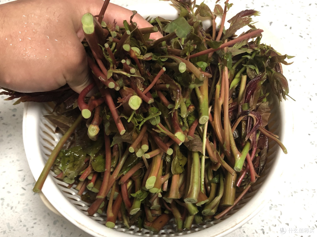 香椿别再炒鸡蛋了,配上牛肉这样吃,香辣过瘾,吃完之后唇齿留香