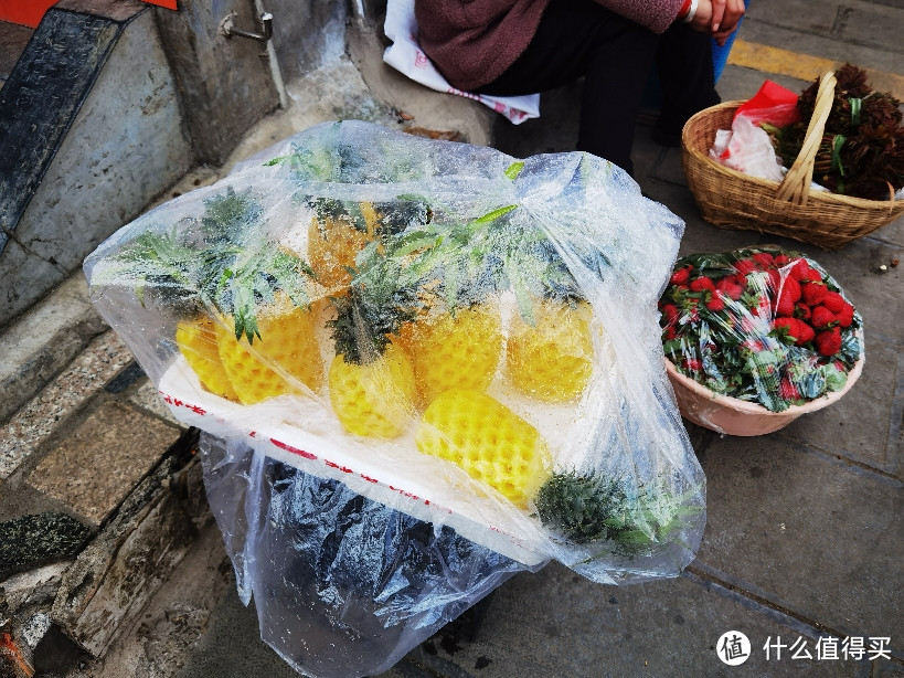 露营跑步随心飞～云南罗平油菜花之旅