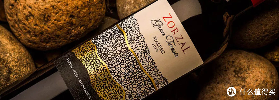 ▲ Zorzal，阿根廷实力新星，2012年Wine&Spirits年度酒庄