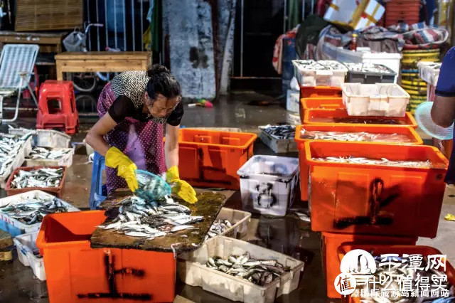 这座海上高铁直通的顶流海岛，4月去最美！