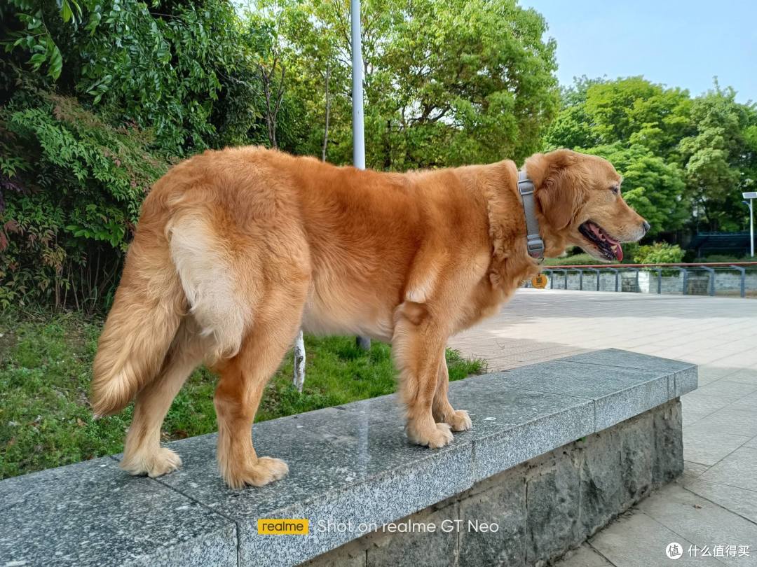 彼有焊门员,此有射门员——realme 真我GT Neo 5G手机全体验