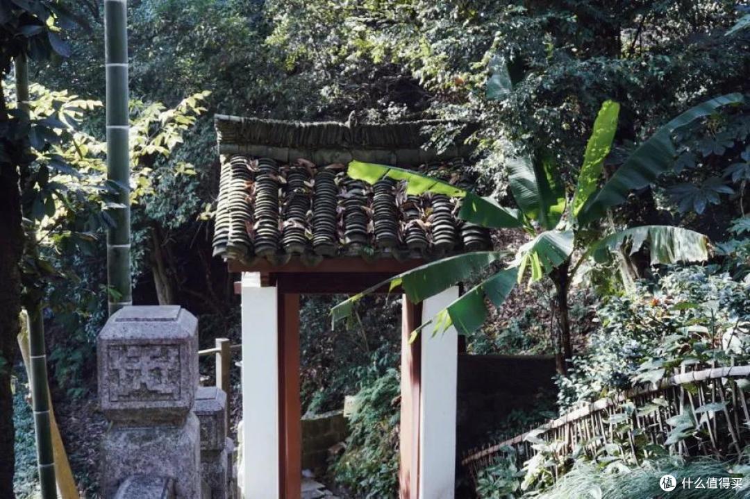 杭州终极拜佛攻略|走这条路,一天解锁灵隐法喜7大宝藏寺庙!