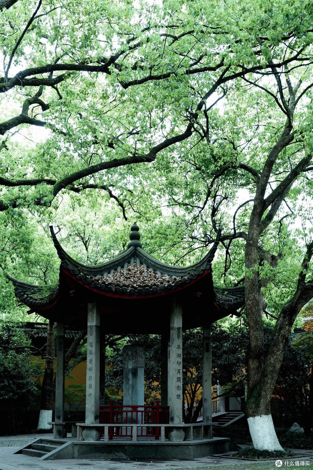 杭州终极拜佛攻略|走这条路,一天解锁灵隐法喜7大宝藏寺庙!