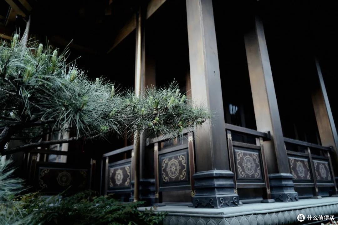 杭州终极拜佛攻略|走这条路,一天解锁灵隐法喜7大宝藏寺庙!