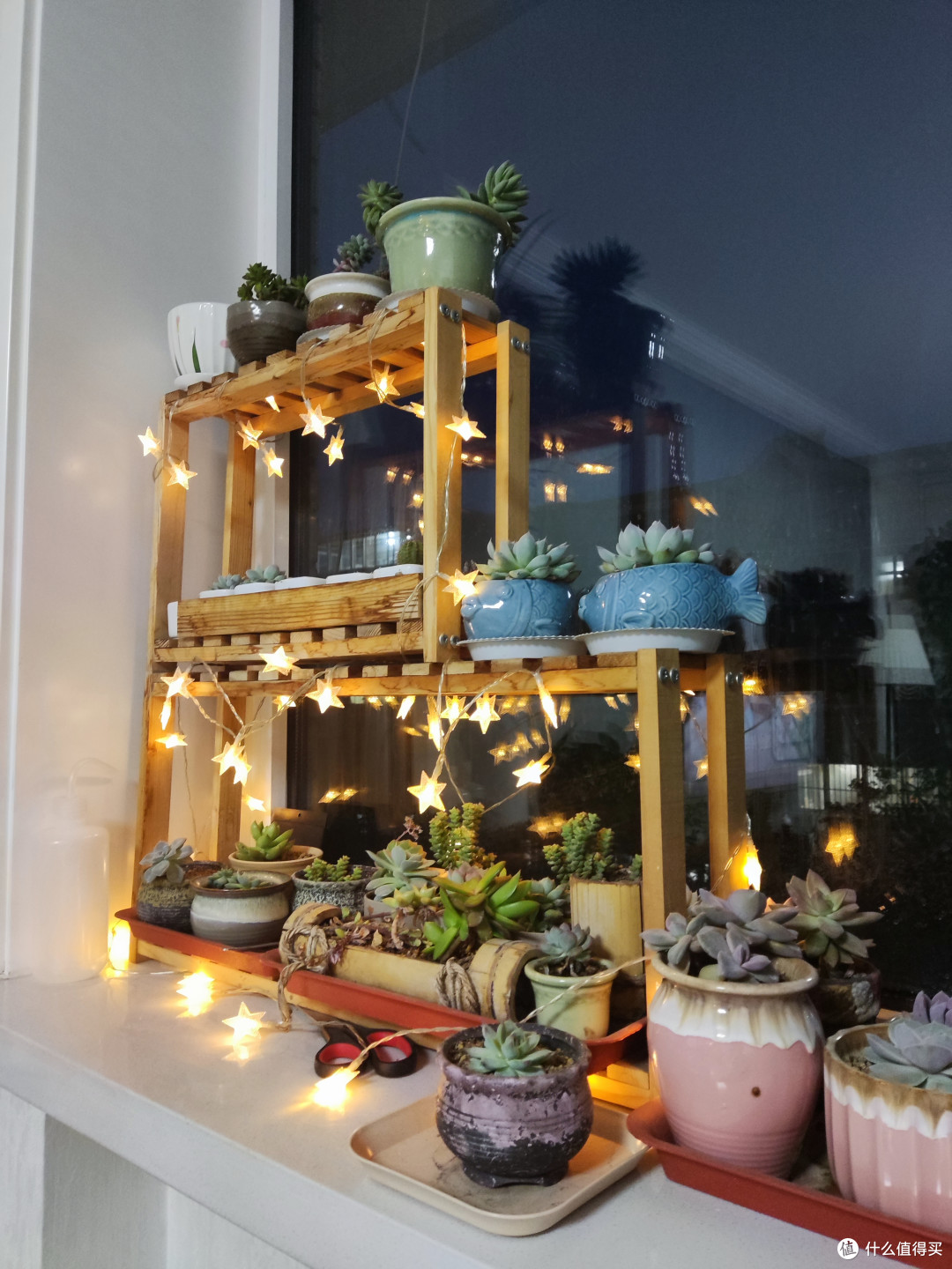 超低成本DIY：星星灯+太阳能灯=每晚自动亮起的多肉景观灯