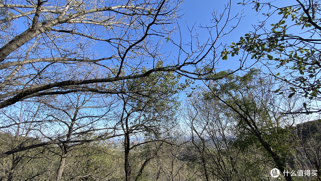 因私不准出京，周末浪迹京郊（十字寺&金陵）