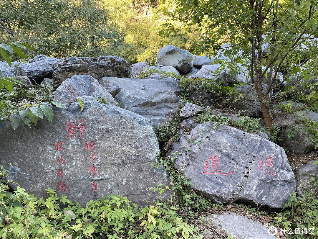 因私不准出京，周末浪迹京郊（十字寺&金陵）